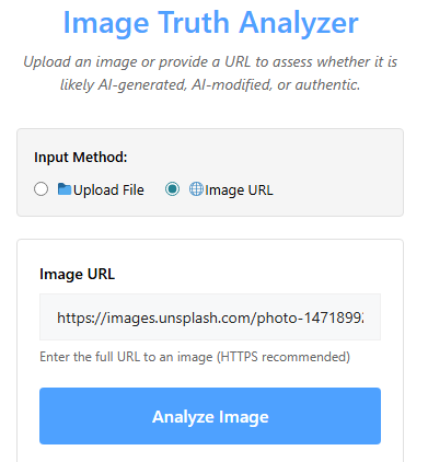 Image Analyzer Before